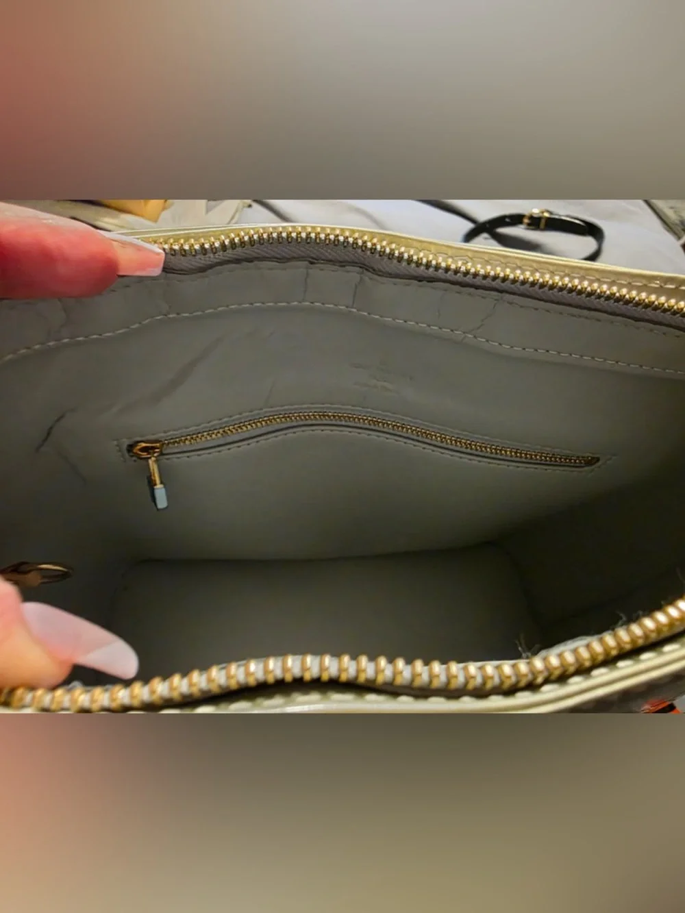 Louis Vuitton authentic louis